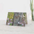 Search for does cards Deer