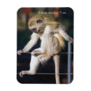 Search for slogans magnets Funny