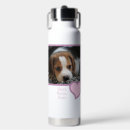 Search for dog water bottles Pink