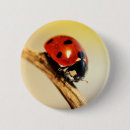Search for ladybird badges Red