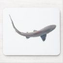 Search for shark mousepads Ocean