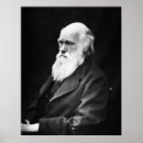 Search for darwin posters Portrait