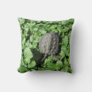 Search for snapping turtle Nature