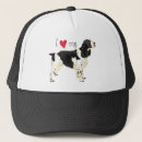 Search for springer hats English springer spaniel