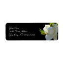 Search for magnolia blossoms return address labels White