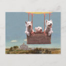 Search for westies postcards Animals