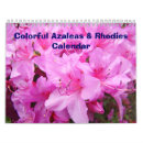 Search for azalea office supplies Photography
