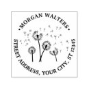 Search for dandelion seed Wind