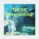 Search for snorkel magnets Reef