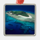 Search for paradise christmas tree decorations Scenic