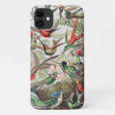 Search for hummingbird cases Kunstformen der natur