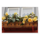 Search for window boxes Nature