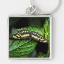 Search for malachite key rings Nature