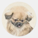 Search for pekingese stickers Puppy