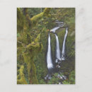 Search for pacific northwest postcards Tourism