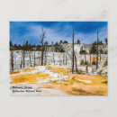Search for park spring postcards Souvenir