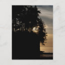 Search for bluff postcards Ocean