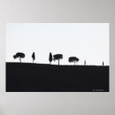 Search for typically posters Photography