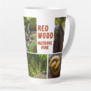 Search for redwoods mugs Nature