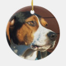 Search for dog walker christmas tree decorations Treeing walker coonhound