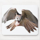 Search for falcon mousepads Wild