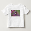 Search for male toddler tshirts animal