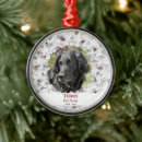 Search for pet memorial ornaments Picture