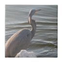 Search for heron tiles Photograph