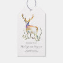 Search for antler Woodland