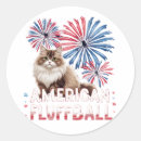 Search for fourth july stickers Cat