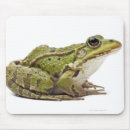 Search for common electronics Wildlife