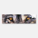 Search for endangered animals bumper stickers Wolf