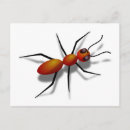 Search for ant postcards Humour