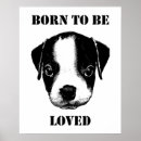 Search for terriers posters Pet lovers