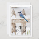 Search for blue jay cards Bird photography