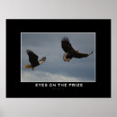 Search for eagle eyes art Wildlife