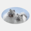 Search for keeshond stickers Dog