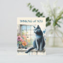 Search for russian blue cat postcards Cute