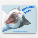 Search for laughing cat electronics Cute