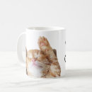 Search for funny cat quote mugs Pet lover