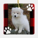 Search for cat picture christmas tree decorations Family pet