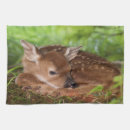 Search for habitat tea towels Animal