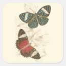 Search for colourful insect stickers Red