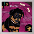Search for rotty posters Dogs