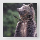 Search for wild one clocks Animals in the wild