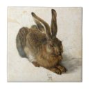 Search for hare tiles Rabbit