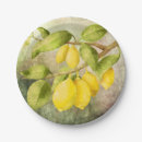 Search for painting paper plates Branch