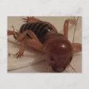 Search for bug kid postcards Funny