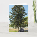 Search for puzzle cards Tree