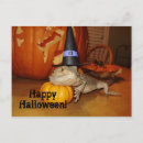 Search for happy reptile postcards Lizard